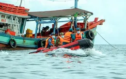 EC tiếp tục kiểm tra thủy sản Việt Nam vào giữa năm sau