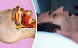 Giải mã lý do một số người không thể ngủ nếu không "ôm" một thứ gì đó