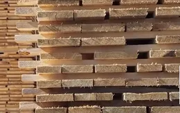 Thị trường châu Âu giảm nhu cầu gỗ xây dựng và nội thất