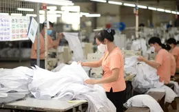 Thanh tra doanh nghiệp nợ bảo hiểm xã hội