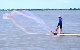 Nhộn nhịp đánh bắt cá mùa nước nổi