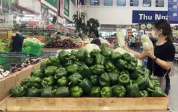Đồng Nai: Xử phạt hơn 1 tỷ đồng vi phạm về an toàn thực phẩm