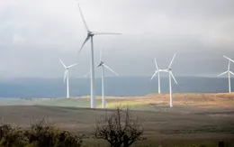 "Giếng dầu của thế giới" Vùng Vịnh đẩy nhanh chuyển dịch sang năng lượng sạch