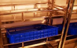 Thiếu máu tại Đồng bằng Sông Cửu Long: Bộ Y tế đề nghị xem xét kỷ luật những trường hợp không làm hết trách nhiệm