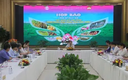 Đồng Tháp lần đầu tổ chức Ngày hội Hội quán Đất Sen hồng