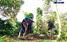 Già làng - người có uy tín đoàn kết buôn làng