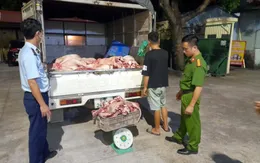 Phát hiện hơn 1,3 tấn thịt lợn không đảm bảo an toàn thực phẩm
