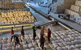 Xuất khẩu gạo mang về gần 3,7 tỷ USD