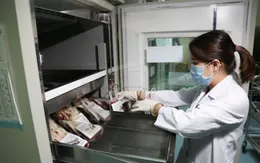 Nhu cầu máu điều trị tăng, kêu gọi người dân đủ sức khỏe hiến máu nhóm A