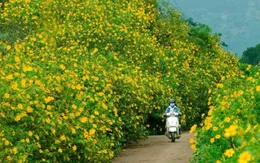 Những điểm đến mang đậm sắc thu tại Việt Nam