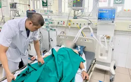 Bị mèo cắn, người đàn ông nguy kịch