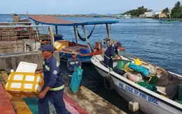 Phú Quốc tăng cường giám sát xả rác qua camera