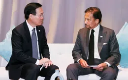 Chủ tịch nước Võ Văn Thưởng gặp Quốc vương Brunei nhân dịp dự Tuần lễ Cấp cao APEC 2023