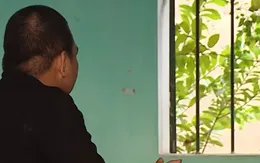 Từ nạn nhân thành đối tượng tổ chức, môi giới cưỡng bức lao động