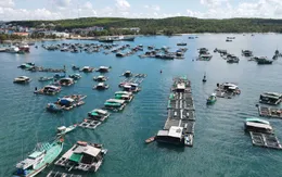 Kiên Giang và Na Uy tìm kiếm cơ hội phát triển nghề nuôi biển