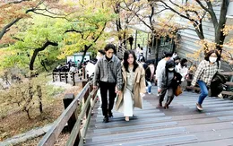 Giá tour Tết tăng khoảng 10% so với ngày thường