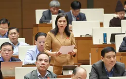 Làm rõ các vụ việc khiếu nại, tố cáo kéo dài