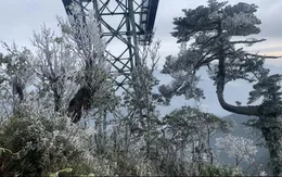 Phân biệt sương muối, băng giá, mưa tuyết