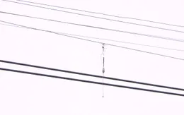 Bỏng điện cao thế khi câu cá dưới đường điện