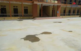 Quy trình thi công sân bóng rổ uy tín tại nhà thầu Tín Phát Sports