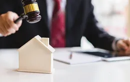 Ngăn chặn “quân xanh, quân đỏ” trong đấu giá