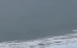 Kịp thời cứu nạn tàu cá mắc cạn trên vùng biển Trường Sa