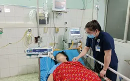 Sốc phản vệ nguy kịch sau khi bị kiến xoan đốt
