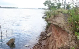 Quảng Trị: Sạt lở bờ sông lại tiếp diễn trong mùa mưa lũ