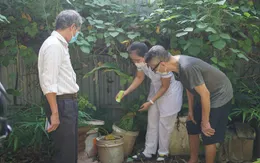 Bộ Y tế đề nghị Hà Nội giám sát chặt, phát hiện sớm ổ dịch sốt xuất huyết