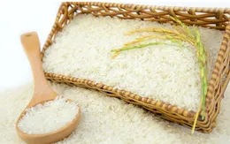 Đề án 1 triệu ha lúa chất lượng cao: Gia tăng giá trị hạt gạo