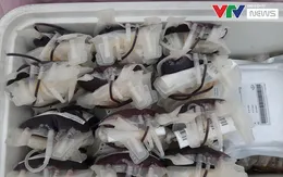 Cần 110.000 đơn vị máu để điều trị dịp Tết