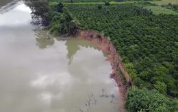 Đắk Nông: Yêu cầu triển khai ngay việc đền bù sạt lở bờ sông Krông Nô