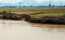 Gần 100 vị trí ven sông có nguy cơ sạt lở tại Quảng Nam