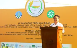 Agribank cung ứng sản phẩm dịch vụ thực hiện phát triển bền vững 1 triệu ha chuyên canh lúa chất lượng cao