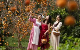 Du khách ngỡ ngàng với vẻ đẹp Mộc Châu khi vào Đông