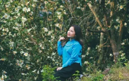 Du khách thích thú trẩy hội hoa sở ở Bình Liêu