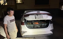 Quảng Trị: Phát hiện 14 động vật quý hiếm trên xe ô tô