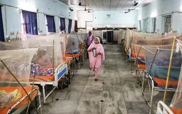 WHO cảnh báo mối đe dọa của bệnh sốt xuất huyết