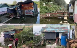 Phận đời trôi nổi ven sông