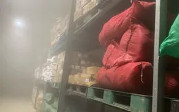 Bắt "kho hàng Tết" 24 tấn nội tạng heo, bò, gà không rõ nguồn gốc, xuất xứ