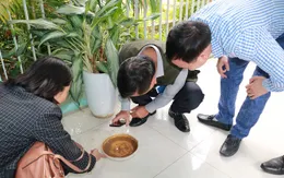 Hà Nội: Dịch sốt xuất huyết tiếp tục giảm mạnh trên địa bàn thành phố