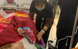 Cấp cứu bệnh nhân phản vệ nặng do tiếp xúc với cây sơn