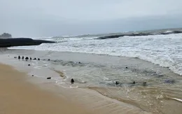 Xác minh vật thể nghi là xác tàu cổ bị chìm tại bờ biển Hội An