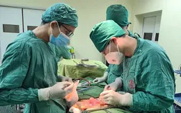 Tình cờ phát hiện khối u gan khi đi khám sức khoẻ định kỳ