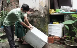 Tuần qua, Hà Nội ghi nhận 1.715 trường hợp mắc sốt xuất huyết