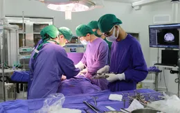 Cảnh báo gia tăng các bệnh lý mạch máu cấp tính nguy hiểm