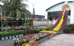 Khai mạc Festival Hoa - Kiểng Sa Đéc “Tình đất - Tình hoa”