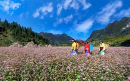 Điện ảnh "dẫn lối" để du lịch Hà Giang cất cánh