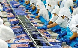 Xuất khẩu thủy sản tăng trưởng dương trở lại