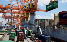 Việt Nam đứng vị trí 43 trong bảng xếp hạng chỉ số hiệu quả logistics